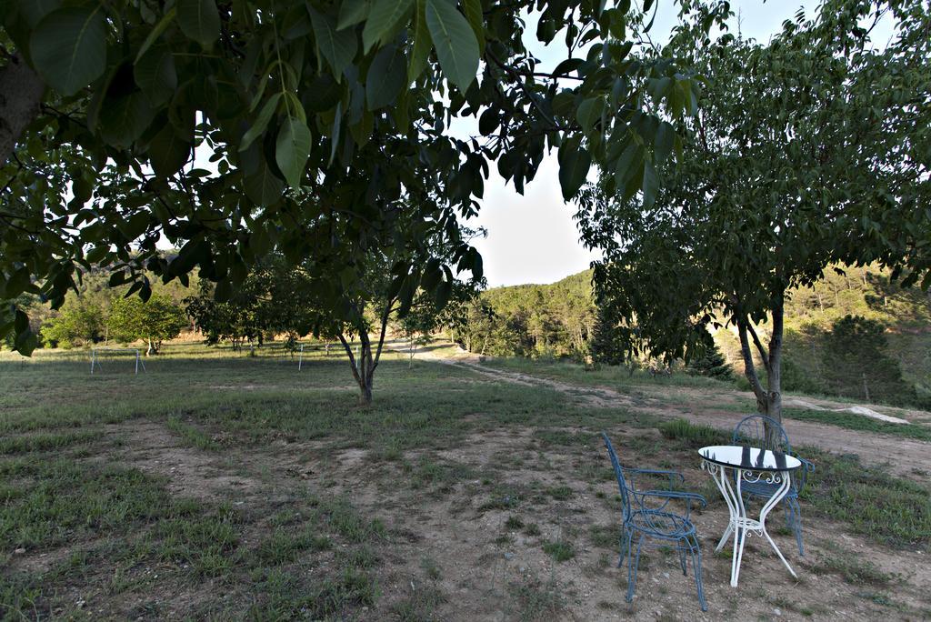 Отель Masia Ca L'Anima La Baronia de Rialb Экстерьер фото
