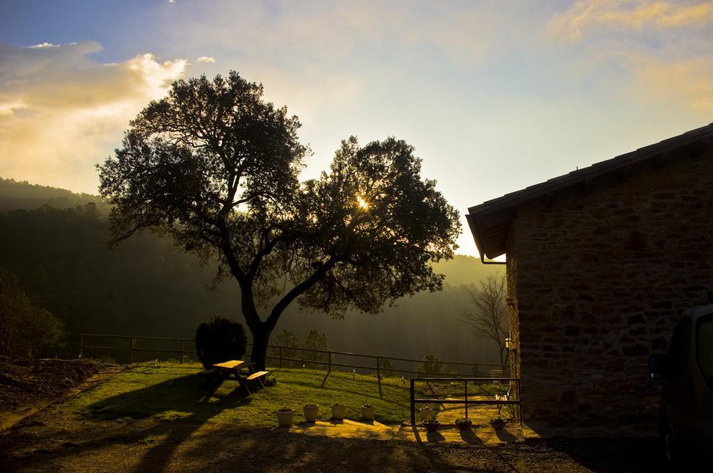 Отель Masia Ca L'Anima La Baronia de Rialb Номер фото