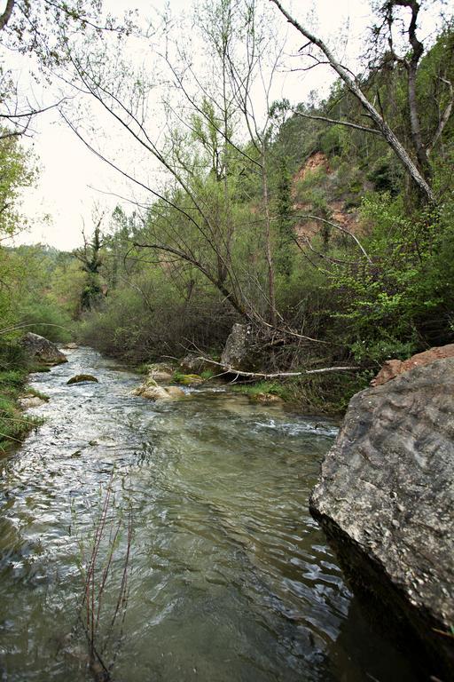 Отель Masia Ca L'Anima La Baronia de Rialb Номер фото