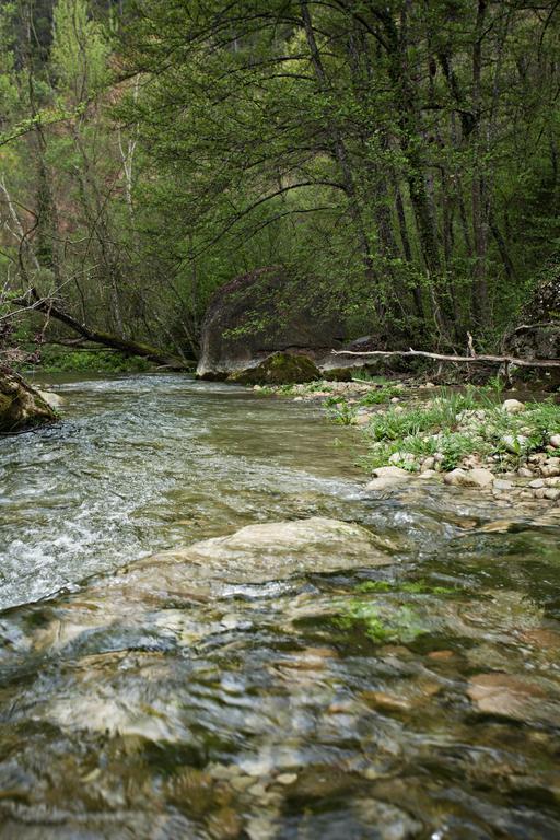 Отель Masia Ca L'Anima La Baronia de Rialb Номер фото